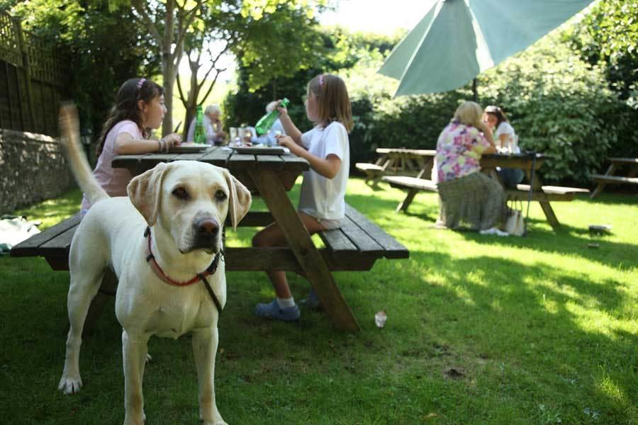 The Star And Garter Bed and Breakfast East Dean  Exterior foto